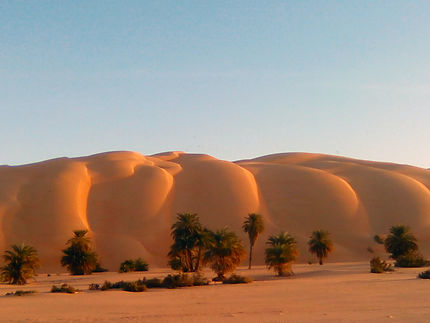 Dune d'Aouega