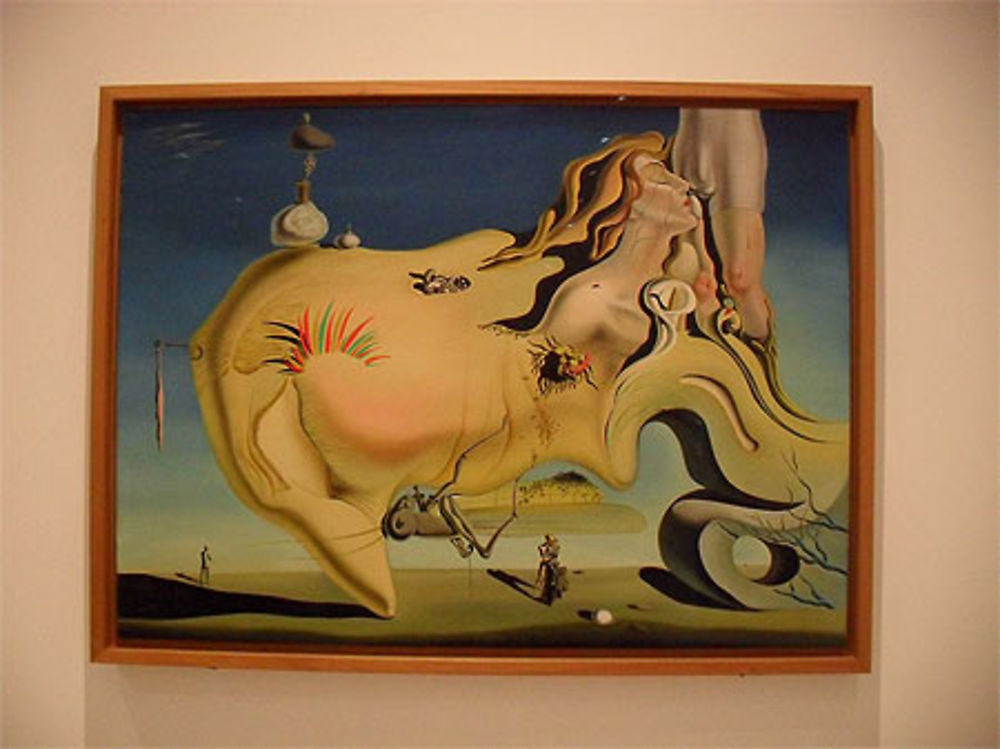 Oeuvre de Dali