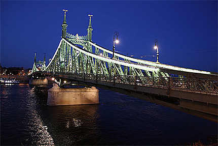 Pont de la Liberté la nuit