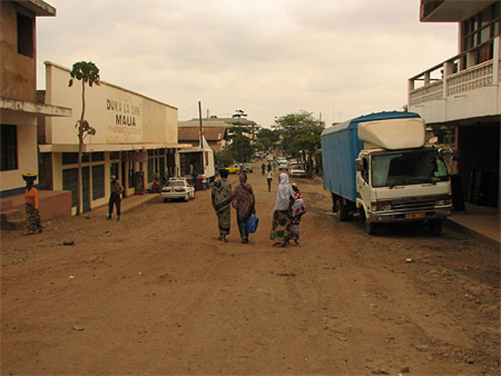 Petite ville de Moshi