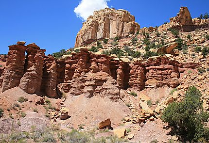 Paysage sur la Burr Trail Road