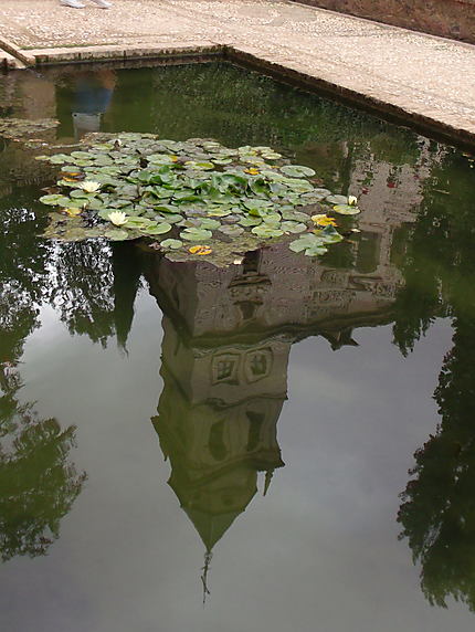 Alhambra reflet