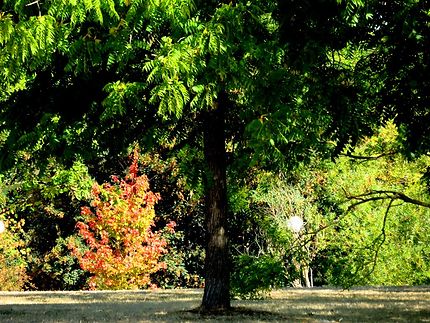 Nombreux espaces verts et jolies forêts