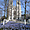 La cathédrale de Bruxelles 