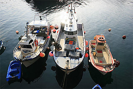 Bateaux de pêche dans la baie de Stiff