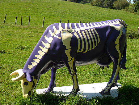 Exposition à Saint Martin la Méanne Exposition à Saint Martin la Méanne