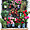 Grenade - Albaicin - Fenêtre fleurie