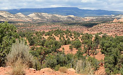 Paysage sur la Burr Trail Road