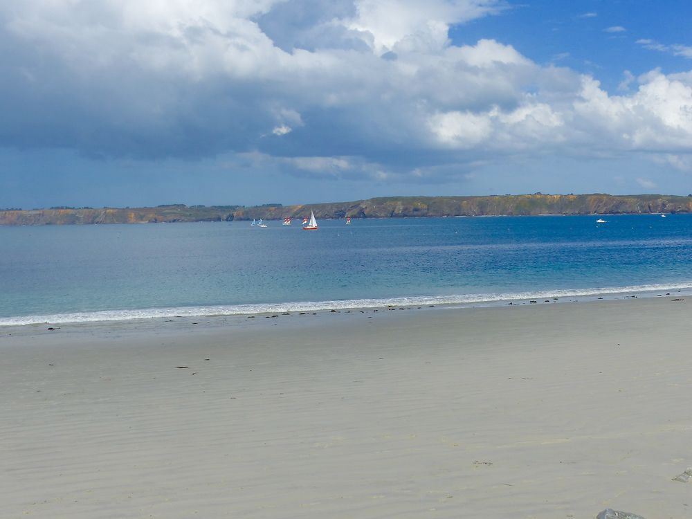 Liberté sur plage de 4 kms à Sant-Nic en Bretagne