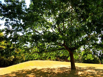 Espaces verts sur des grandes surfaces 