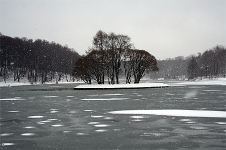 Froid Froid