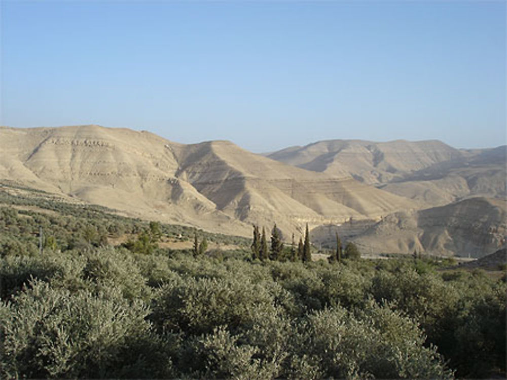 Wadi Hasa