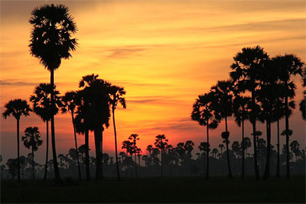 Coucher de soleil SiemReap