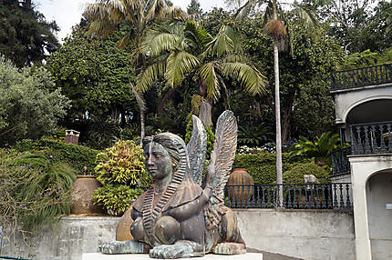 Funchal Jardin tropical