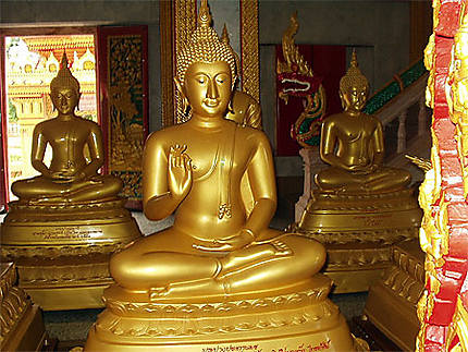 Temple dédié à Bouddha