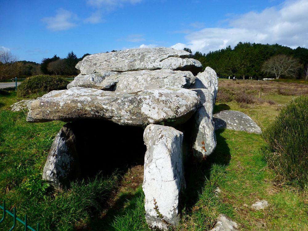 Tumulus de Kermario 