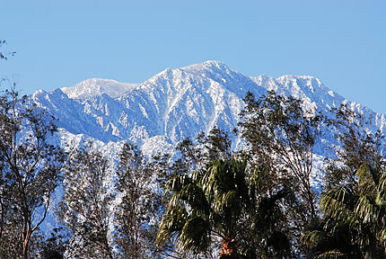 Neige sur le Mont San Jacinto Palm Springs