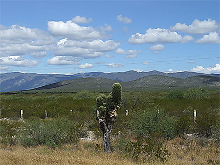 Paysage de San Luis Potosí