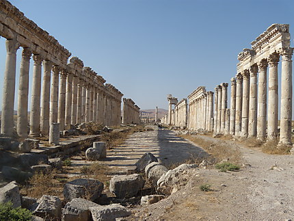 Ruines d'Apamée