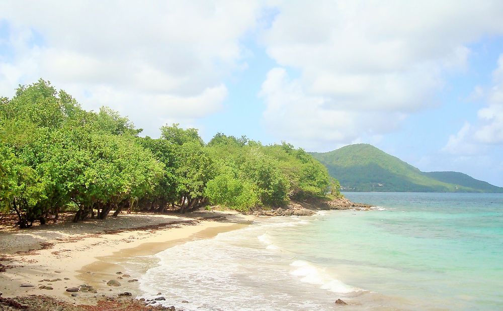 Petite plage sauvage à Sainte-Luce