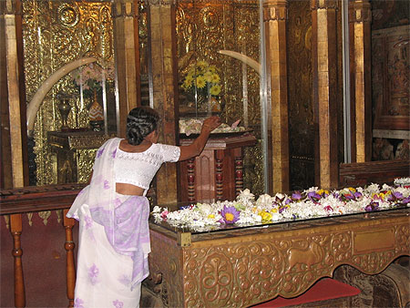 Offrande à Bouddha Offrande à Bouddha