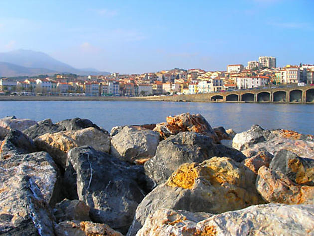 Banyuls : Banyuls-sur-Mer : Pyrénées-Orientales : Languedoc-Roussillon ...