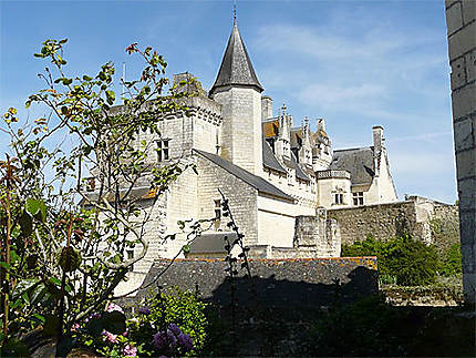 Château de la Dame de Montsoreau