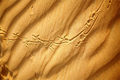 Tableau de sable Tableau de sable