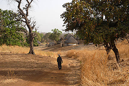 100 % Sénégal : de la Petite Côte au pays bassari