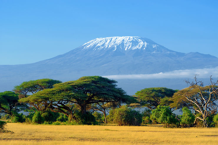 Kilimandjaro - Tanzanie