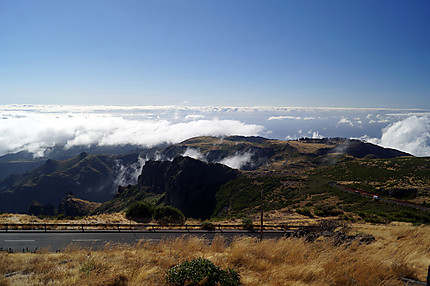 Pico do Ariero (1800m)