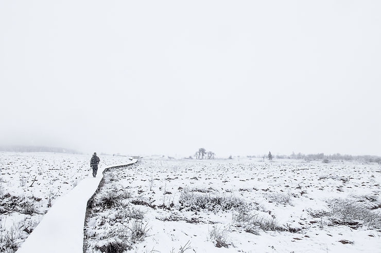 Solitude à Hautes-Fagnes en Belgique