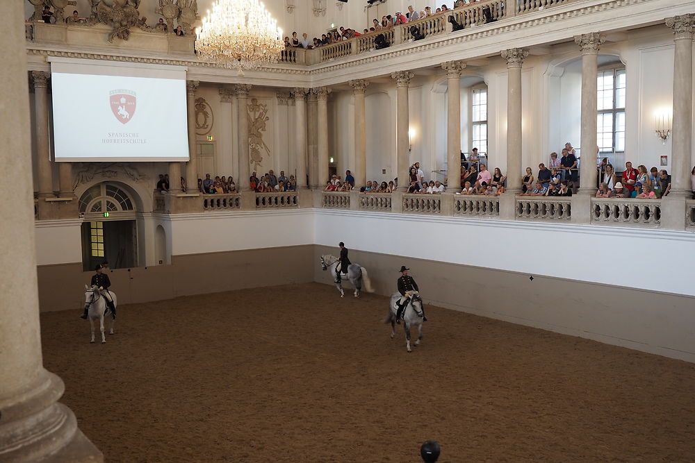 Ecole espagnole d'équitation