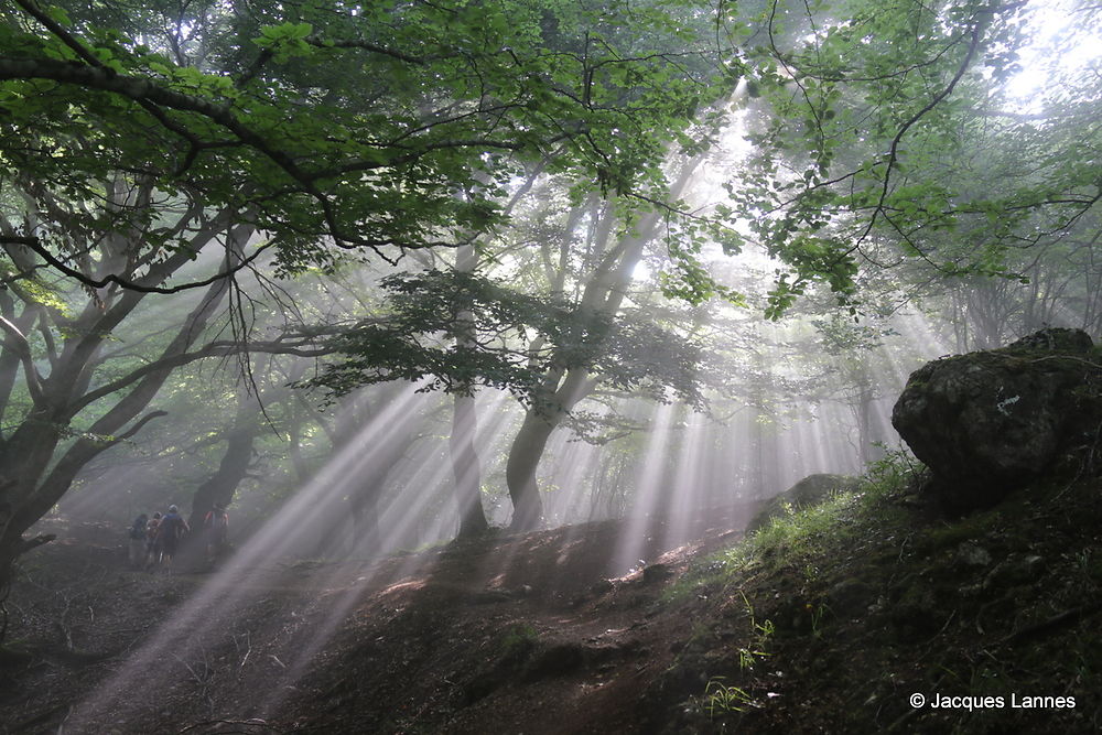 Rayons bénéfiques près d'Unanue