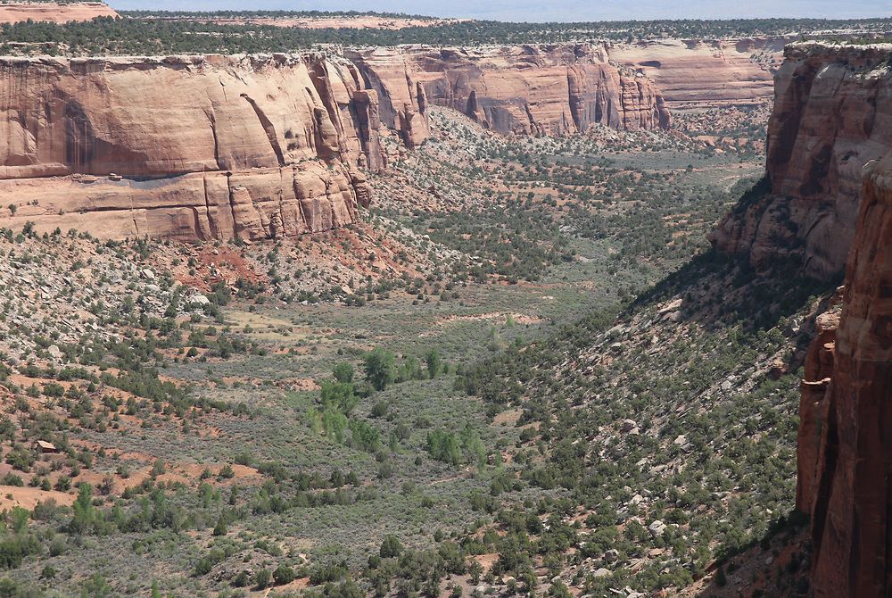 Point de vue sur le canyon