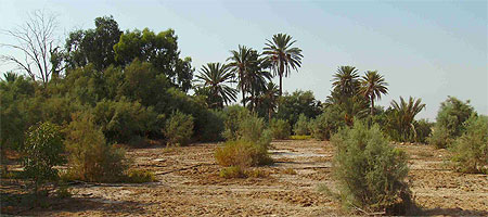El Maghtas El Maghtas