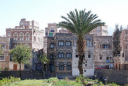 Jardin collectif de Sanaa