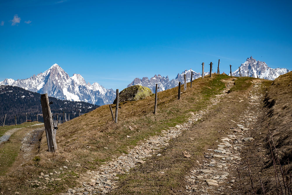 Quel chemin pour l'aiguille verte ?