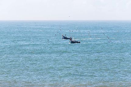 Essaouira, Bateaux de pêche de retour du large