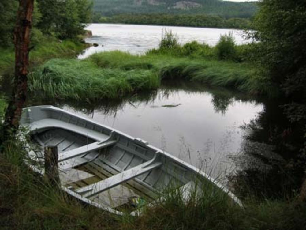 Barque sur le loch, tôt le matin