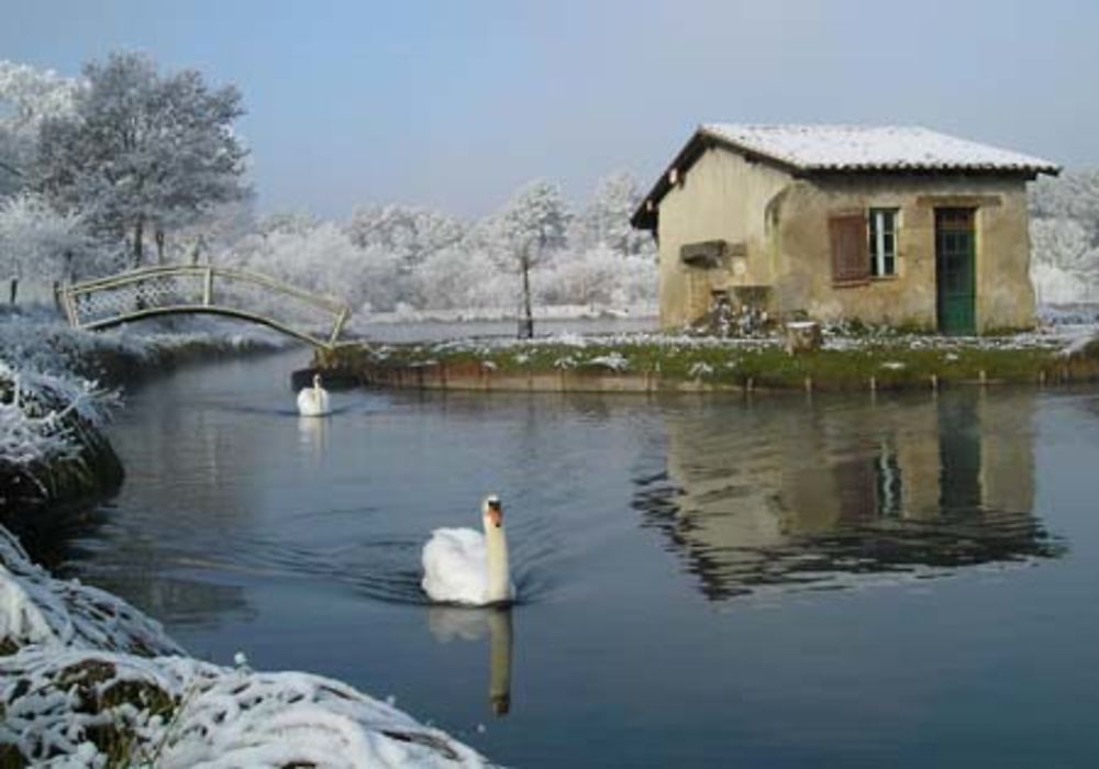 Au bord du lac de Clarens