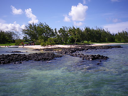 Ile aux cerfs