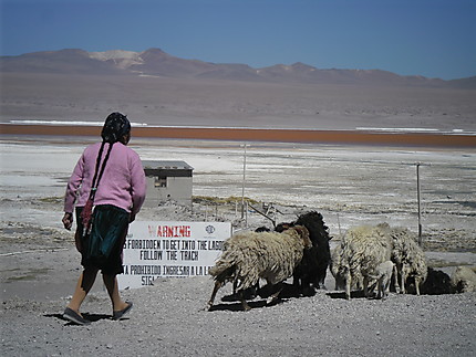 Fermière Bolivienne