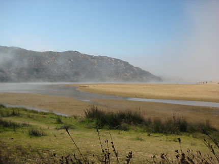 Paysage en dégradé