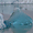 Icebergs de Jokulsarlon