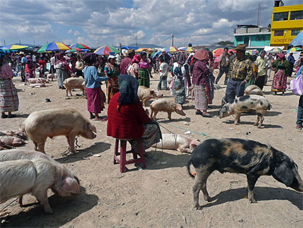 Marché des animaux