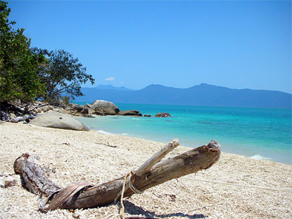 Plage de coraux