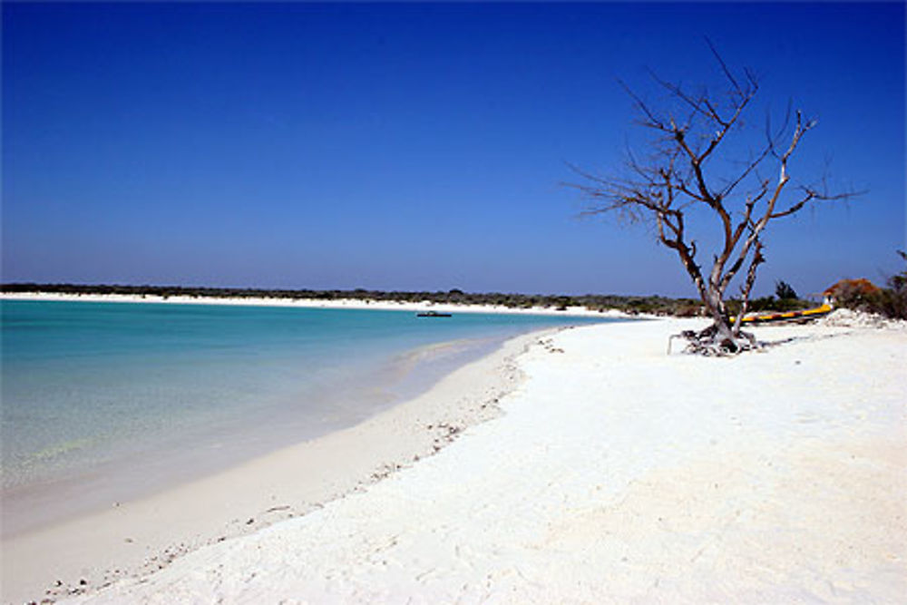 Plage paradisiaque