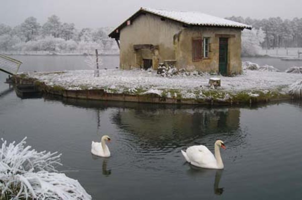 Un soir d'hiver