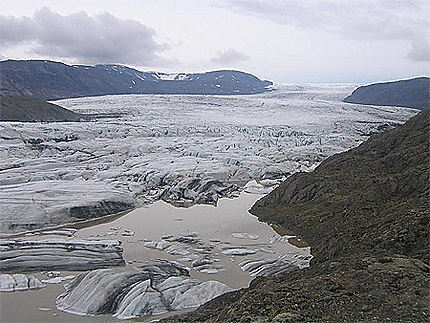 Langue glaciaire de Hoffelsjokul